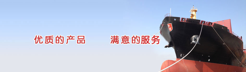 斗式提升機(jī)
